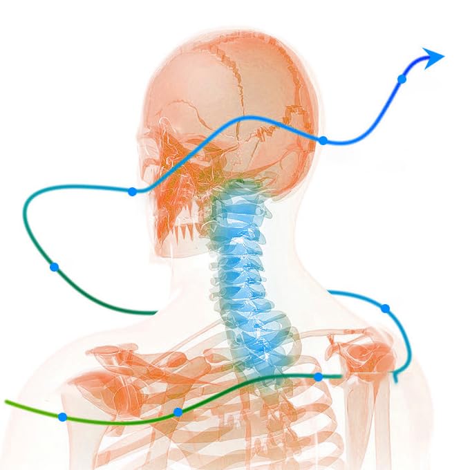 SnoreLess™ - Supporto Ergonomico per il Collo Antirussamento e Allineamento Cervicale